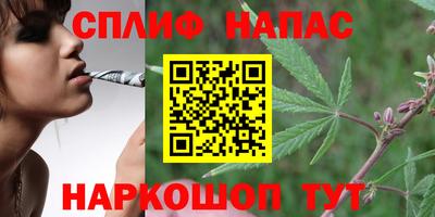 ALPHA-PVP Партизанск
