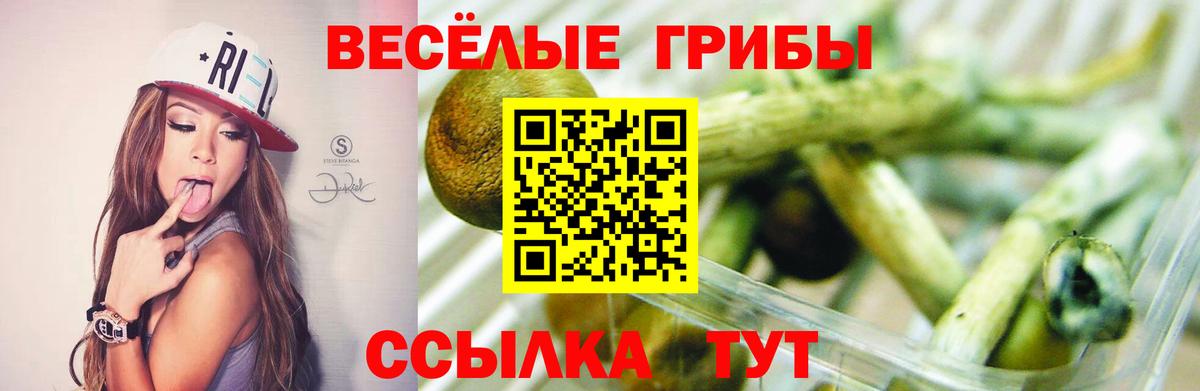 Псилоцибиновые грибы прущие грибы Подольск